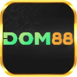 dom88-img